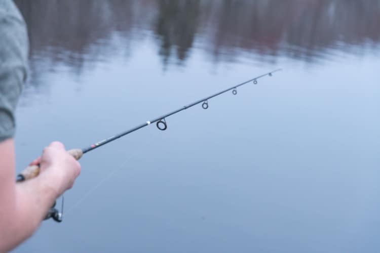 Top 5 Best Fishing Rod Brands in the World for 2023