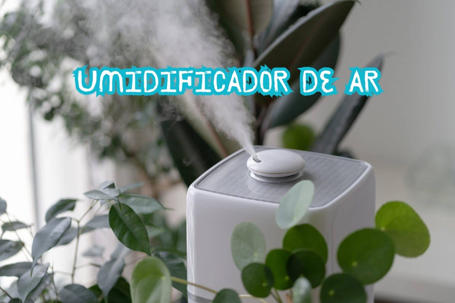 6 Melhores Marcas De Umidificador De Ar Melhores Marcas