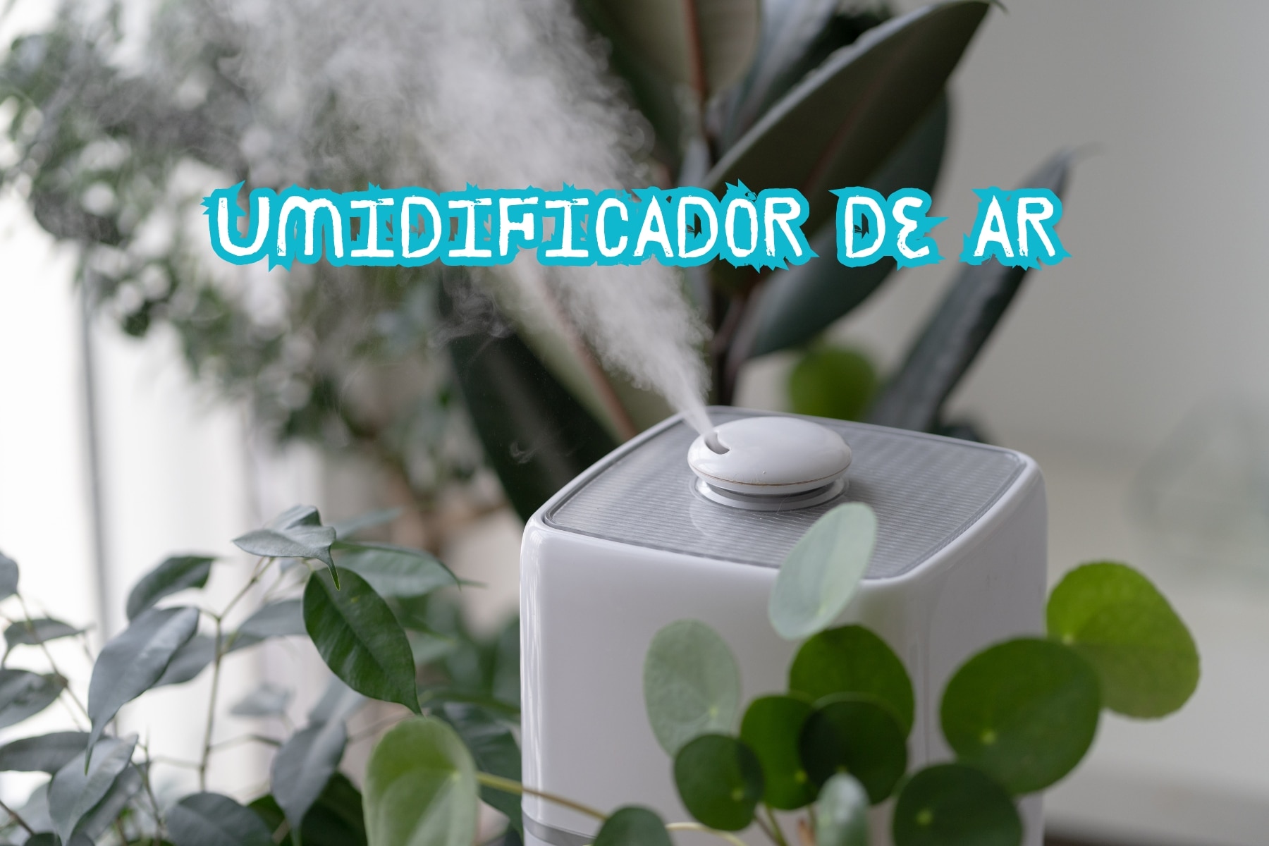 Descubra as 6 melhores marcas de umidificador de ar: Black Decker, Fisher Price, G-Tech, Elgin, WAP e Mondial. Qualidade e eficiência.