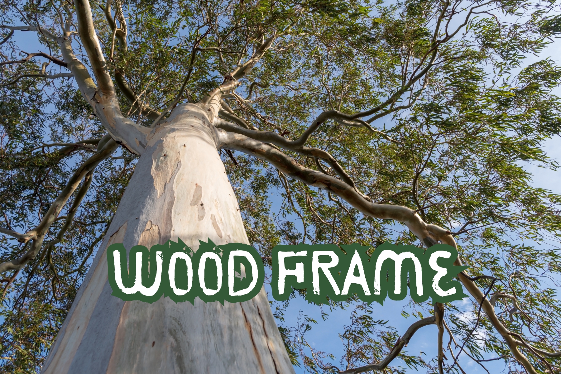 Explore as vantagens das madeiras eucalipto e pinus em construções wood frame, destacando sua sustentabilidade, eficiência e durabilidade.